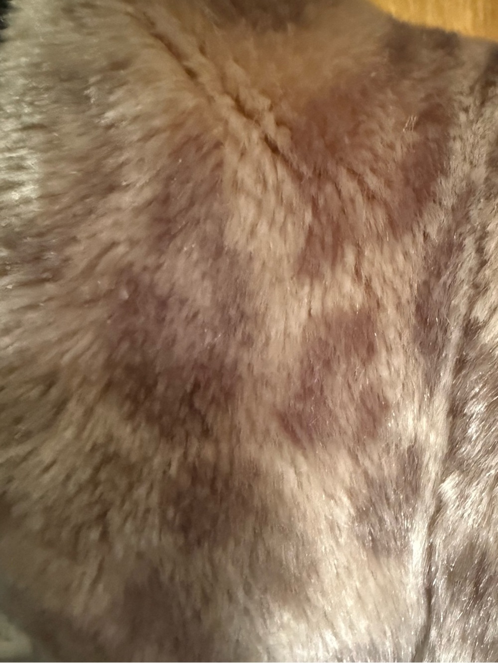 Donna Sawyers Fabulous Furs Women's Brown Leopard Faux Fur Vest size XL gorgeous - Picture 8 of 9